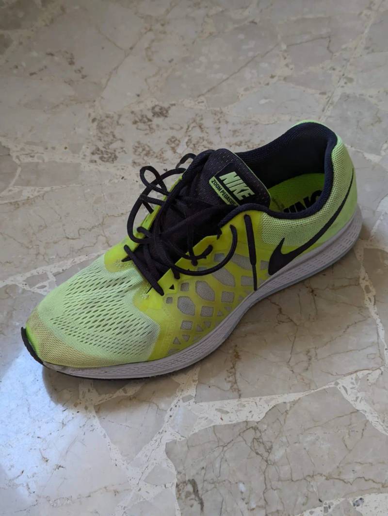 Nike Pegasus 31