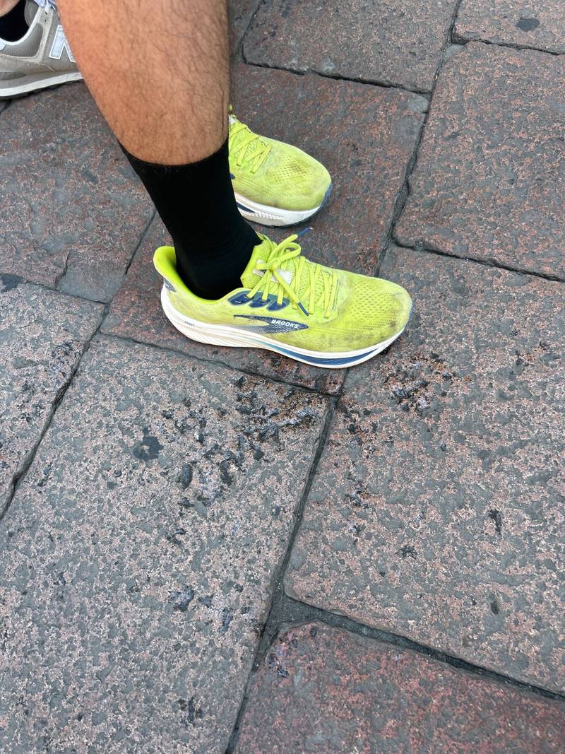 Brooks Ghost 17