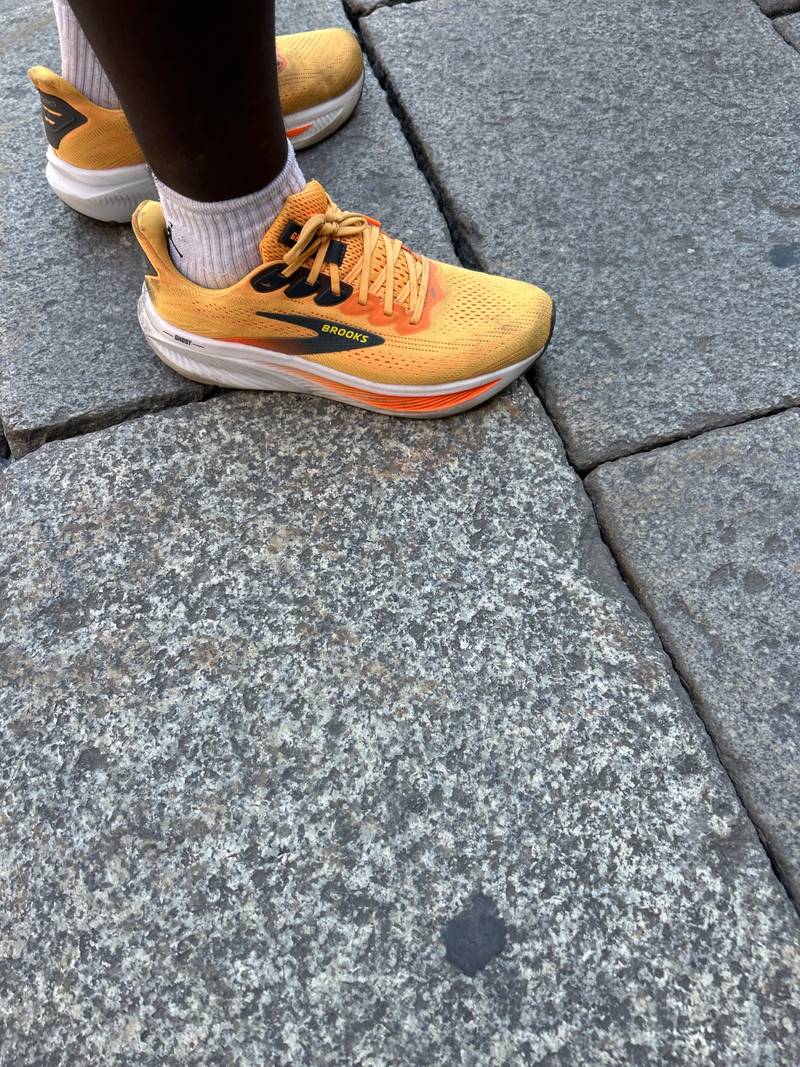 Brooks Ghost 17