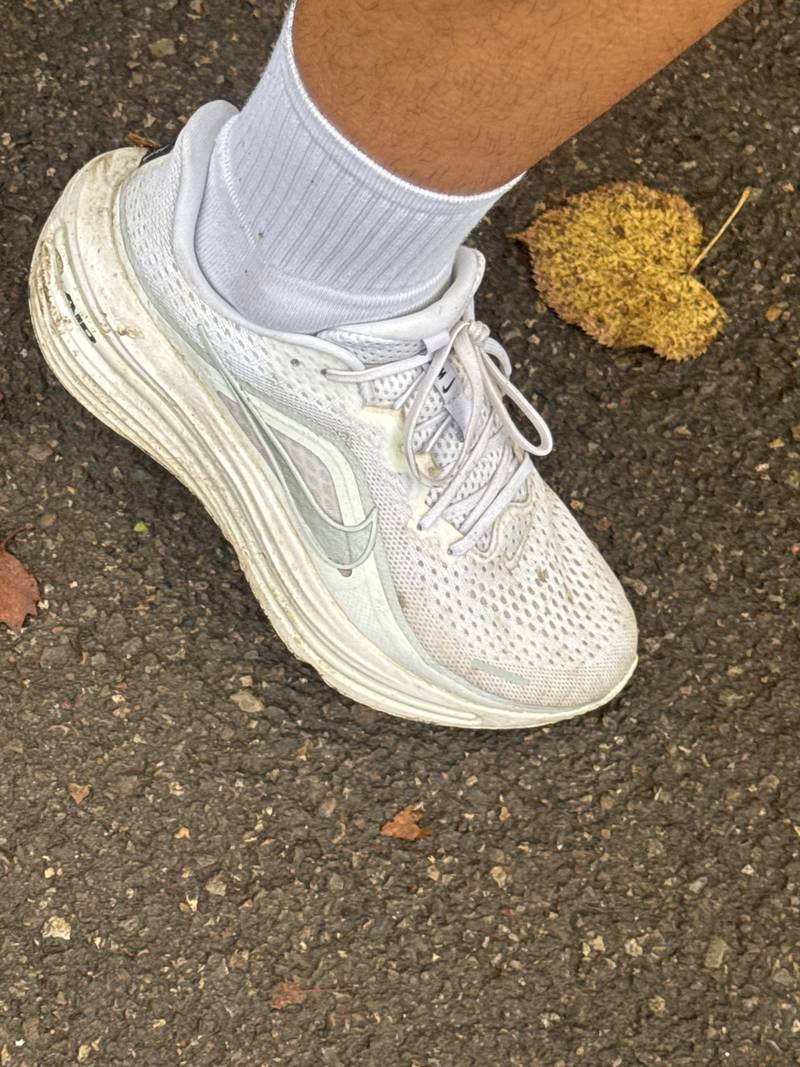 Nike Winflo 12