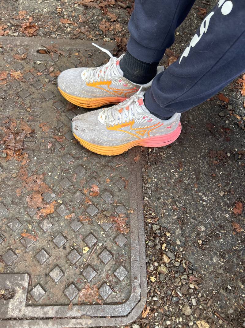Mizuno Wave Rider 29