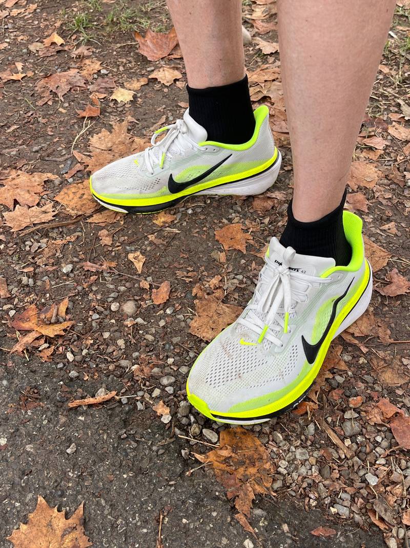 Nike Pegasus 42