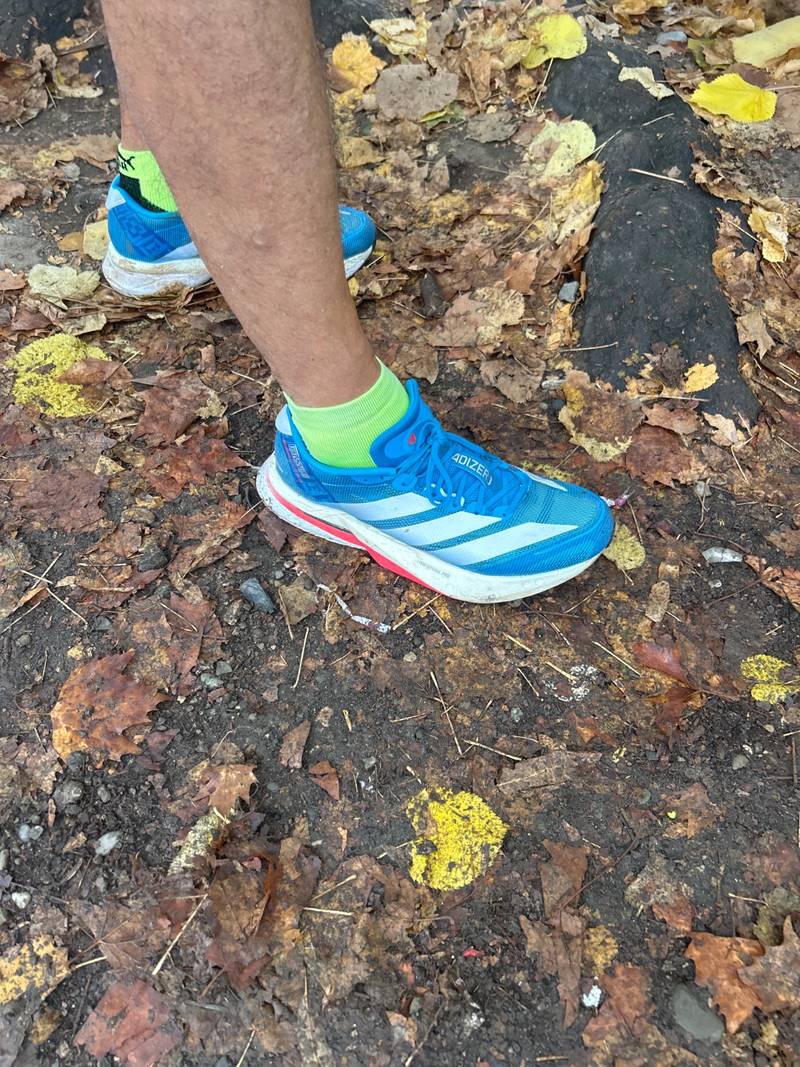 Adidas Adizero Boston 13
