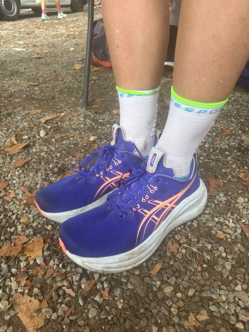 ASICS Gel-Nimbus 28