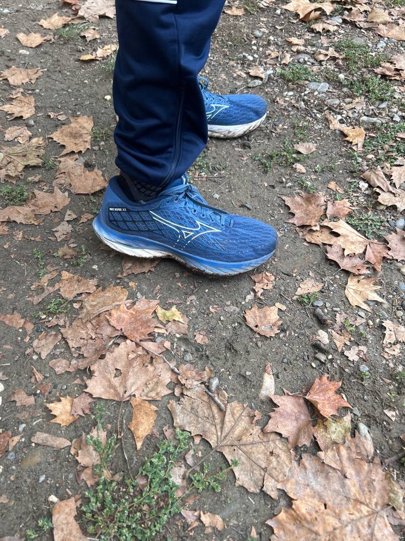 Mizuno Wave Inspire 20