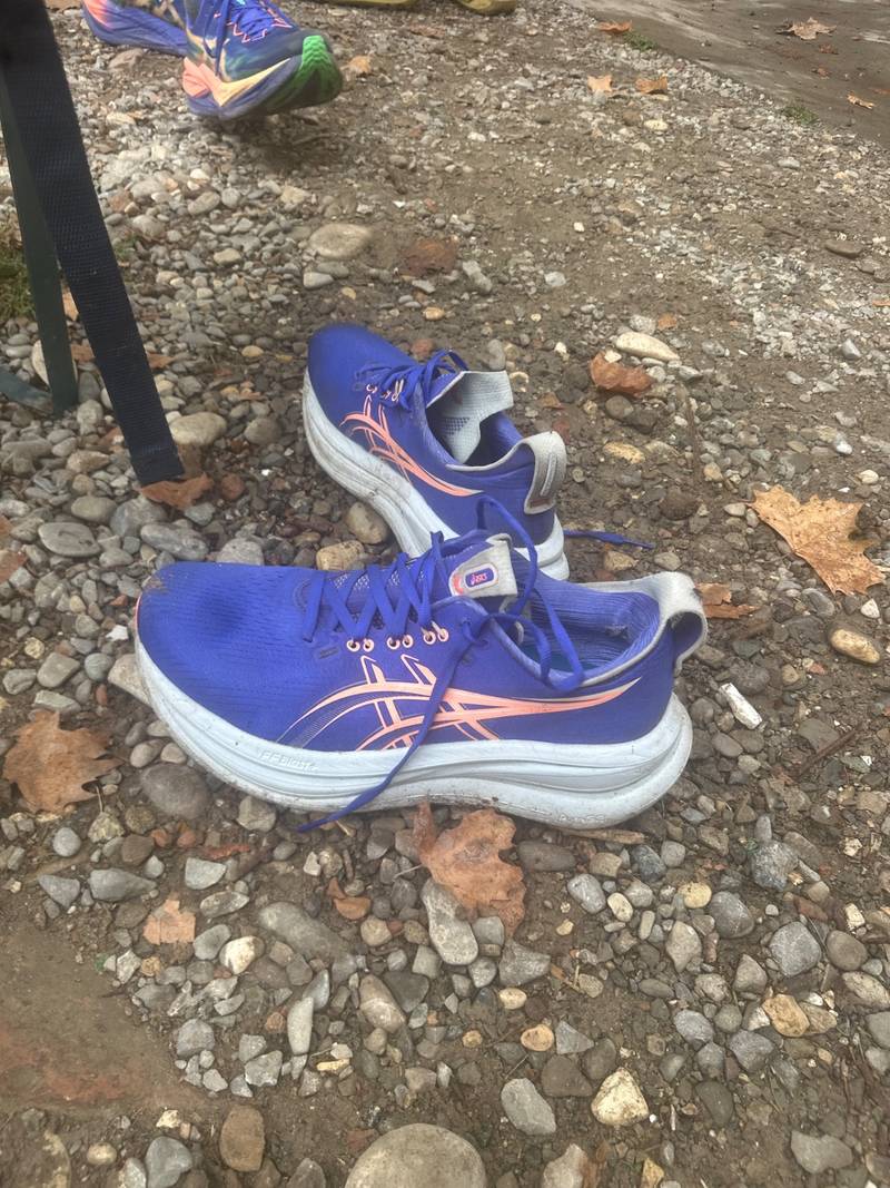 ASICS Gel-Nimbus 28