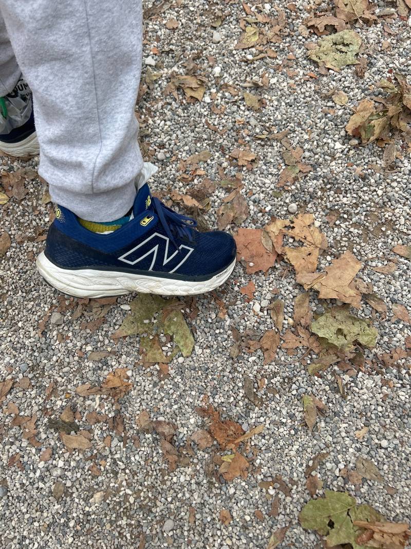 New Balance 860v14
